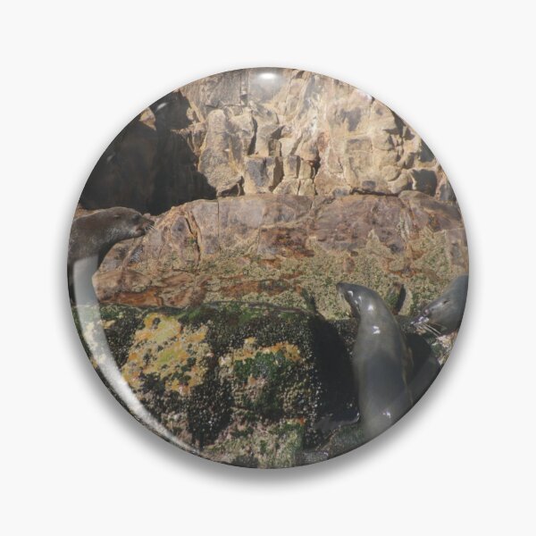 Item preview, Can I come back now? designed and sold by Squirrel2319.