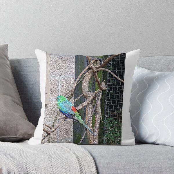 Item preview, Disaffected Parrot designed and sold by TheRealDanniX.