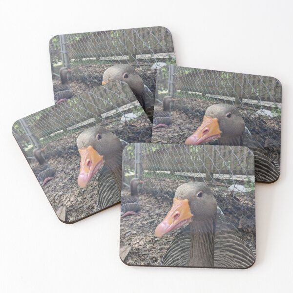 Item preview, Disapproving Goose designed and sold by TheRealDanniX.