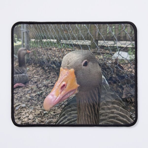 Item preview, Disapproving Goose designed and sold by TheRealDanniX.