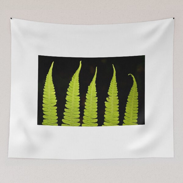 Item preview, Ferns designed and sold by Michael Kannard.