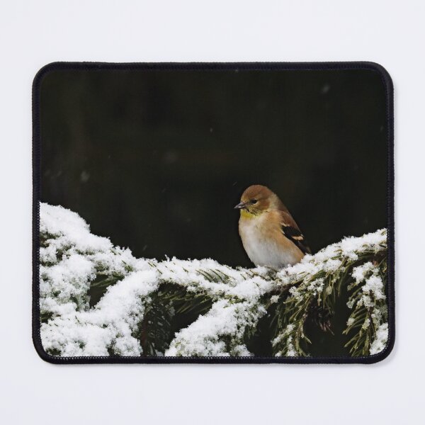 Item preview, Winter Goldfinch On Snowy Branch designed and sold by Deb Oppermann.