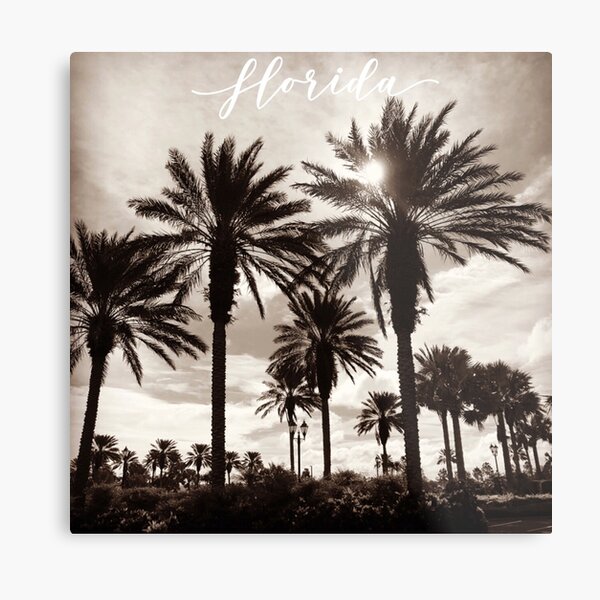 Florida Palms Metal Print