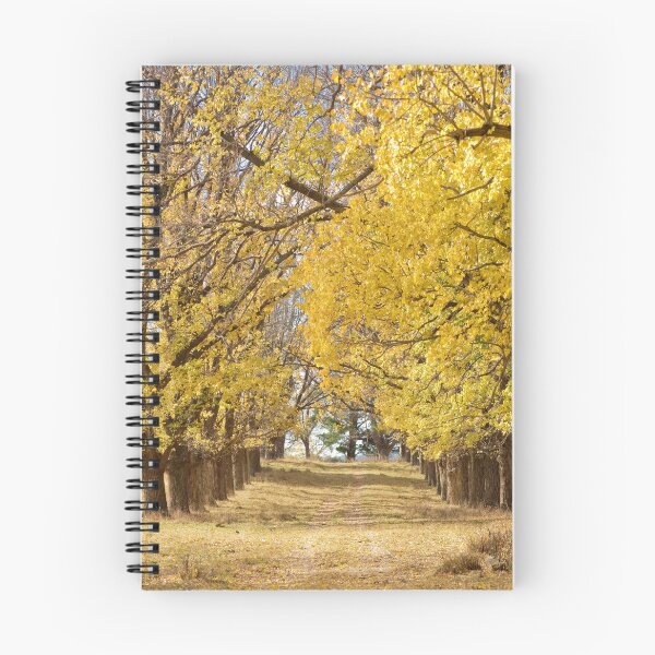 Artikelvorschau, Die lange Auffahrt im Herbst/Herbst entworfen und verkauft von clearviewstock.