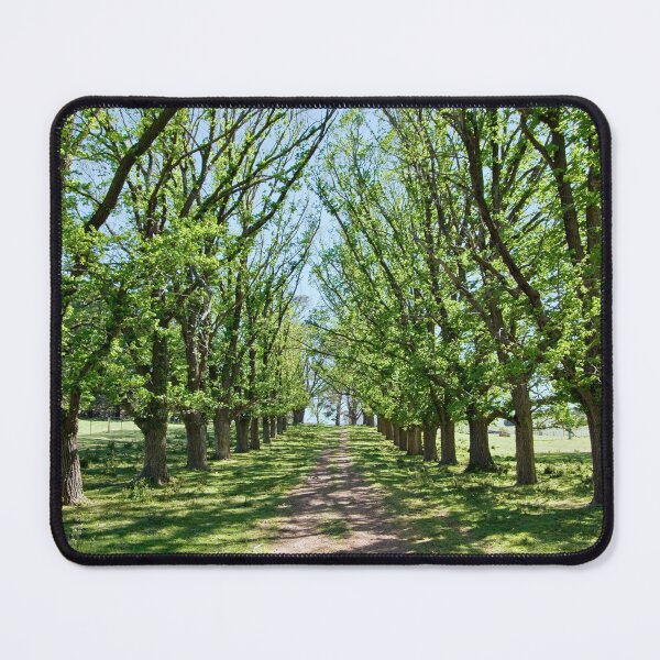 Item preview, The Long Driveway in Spring designed and sold by clearviewstock.