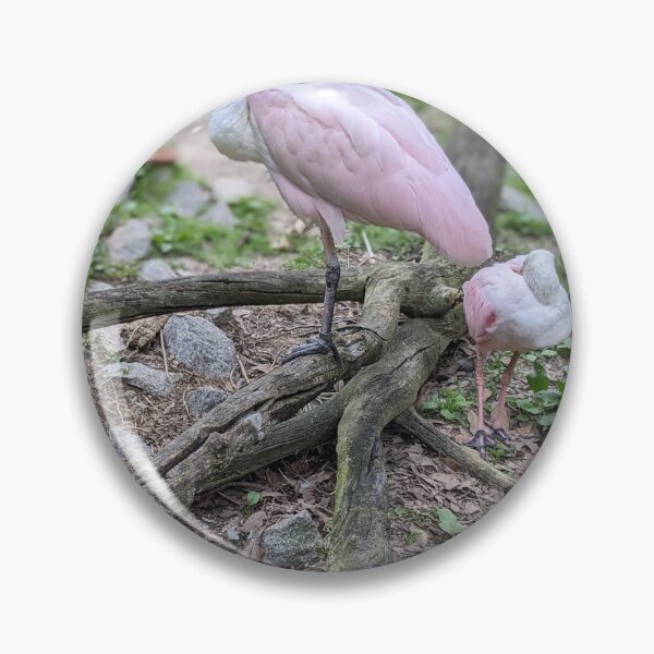 Item preview, Pair of Spoonbills designed and sold by TheRealDanniX.