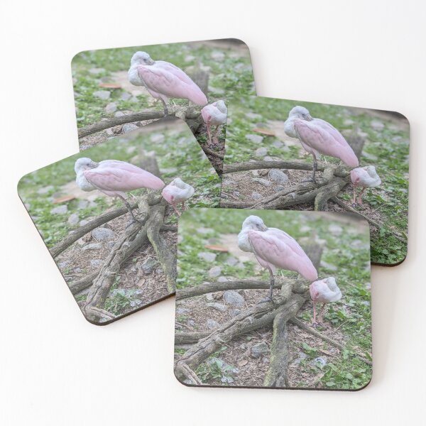 Item preview, Pair of Spoonbills designed and sold by TheRealDanniX.
