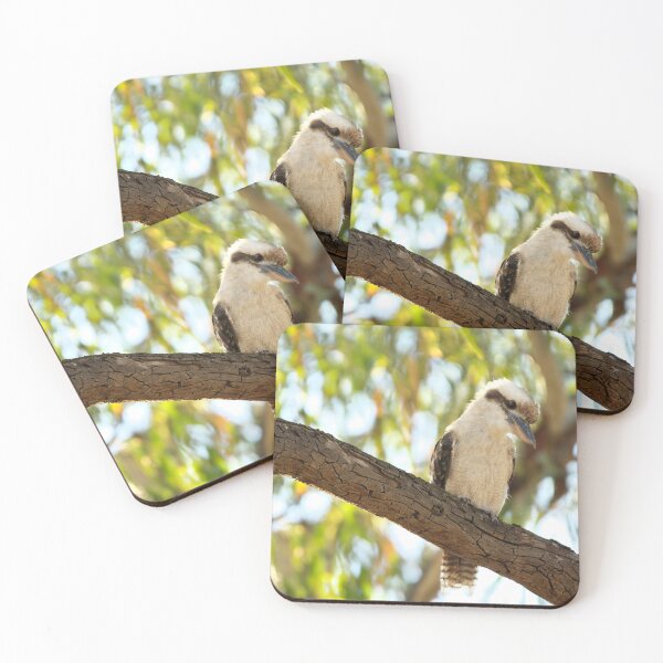 Item preview, Laughing Kookaburra - Dacelo novaeguineae designed and sold by clearviewstock.