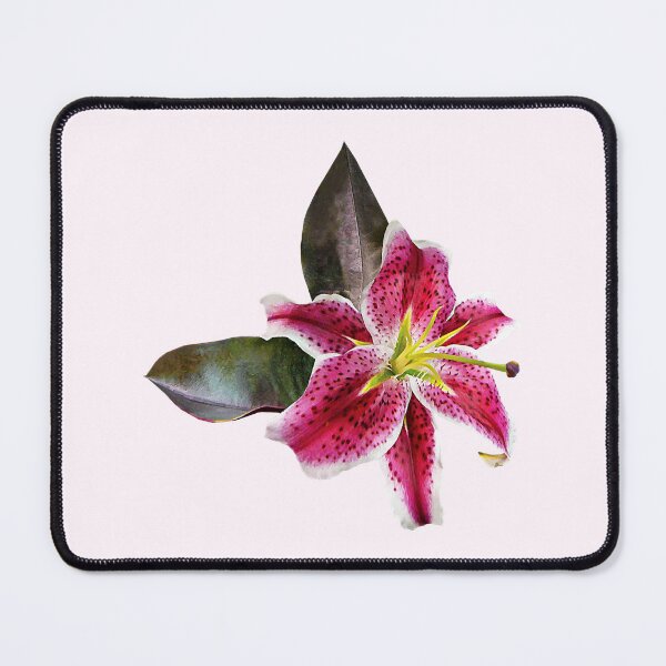 Item preview, One Stargazer Lily designed and sold by Susan Savad.