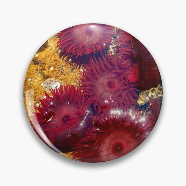 Item preview, sea anemone designed and sold by Nollyweeks.