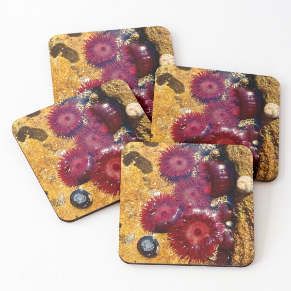 Item preview, sea anemone designed and sold by Nollyweeks.