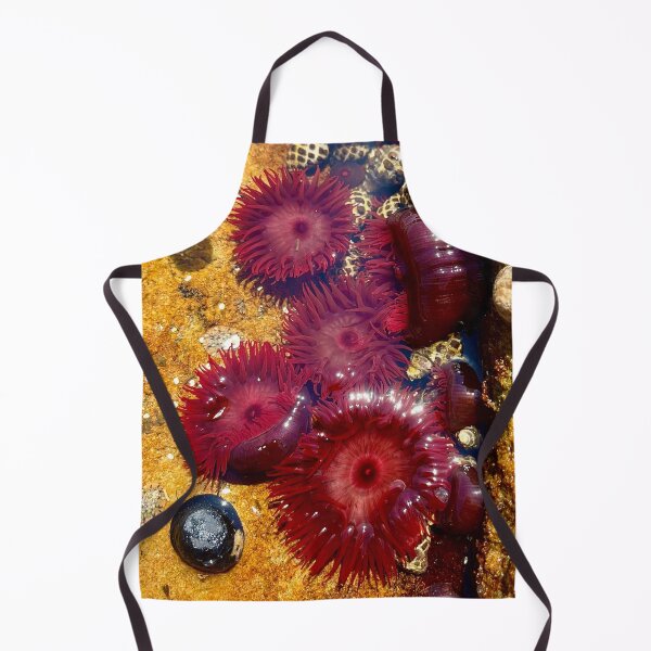 Item preview, sea anemone designed and sold by Nollyweeks.