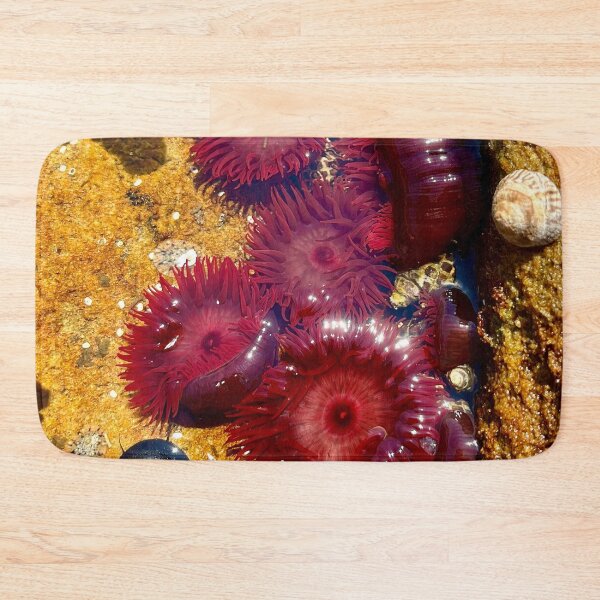 Item preview, sea anemone designed and sold by Nollyweeks.