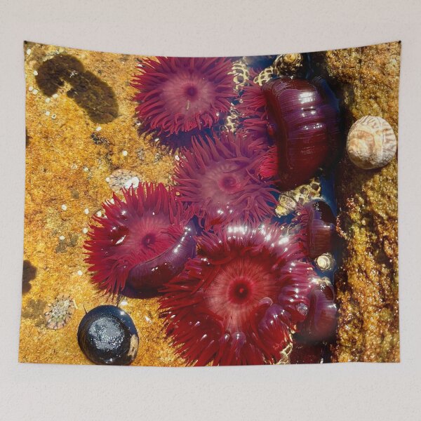 Item preview, sea anemone designed and sold by Nollyweeks.