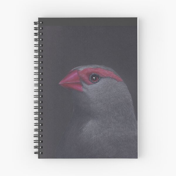 Item preview, Red Cap finch  designed and sold by Laura Hillman.