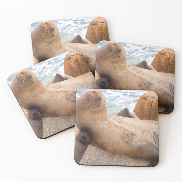 Item preview, Seal Life designed and sold by Nollyweeks.
