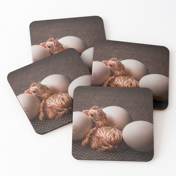 Item preview, Newborn Chick designed and sold by 35mmGoots.