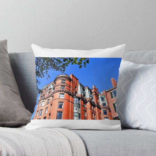 Item preview, Boston Brownstones and Trees designed and sold by CameraMonkey25.