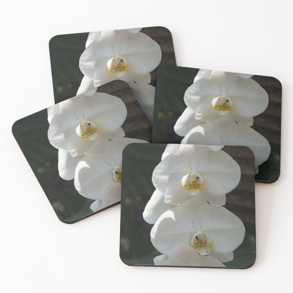 Item preview, White Orchid Trio - Exotic Elegance Times Three designed and sold by Georgia Mizuleva.