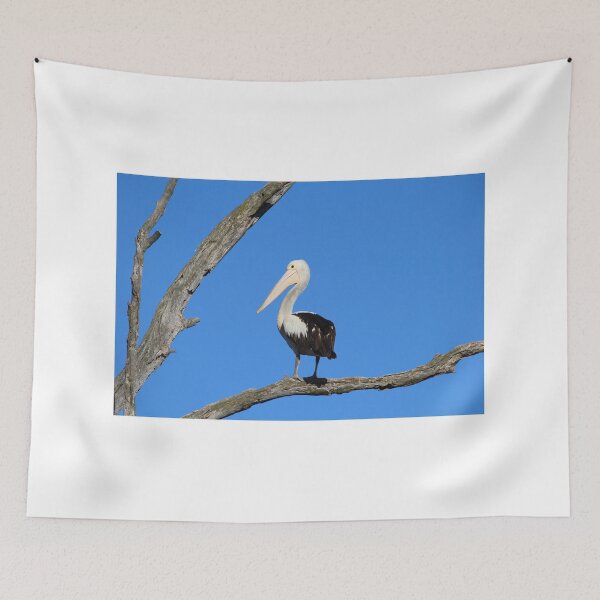 Item preview, Australian Pelican designed and sold by Linda Simpson.