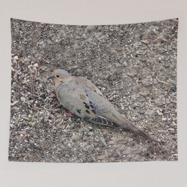 Item preview, Mourning Dove in the Morning designed and sold by heatherfriedman.