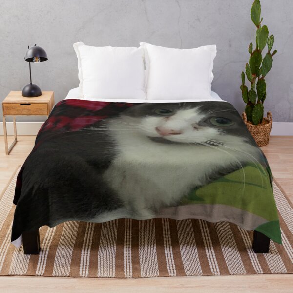 Item preview, Cozy kitten in fluffy blanket designed and sold by NightSky-Design.