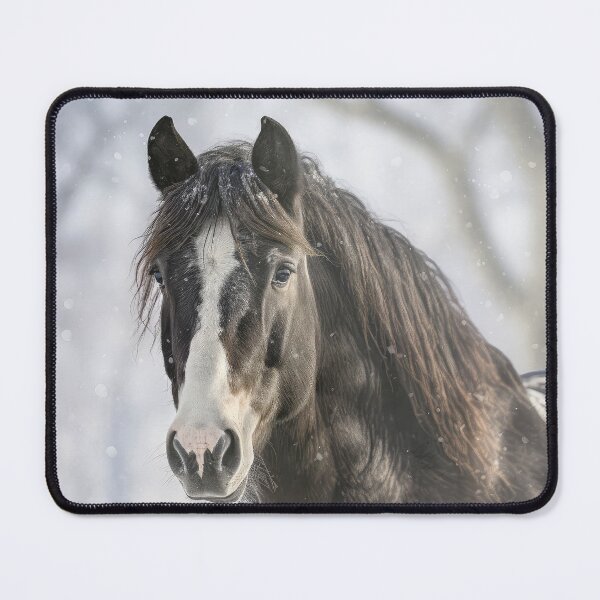 Item preview, Black Horse in Winter 01 designed and sold by Elisabeth Lucas.