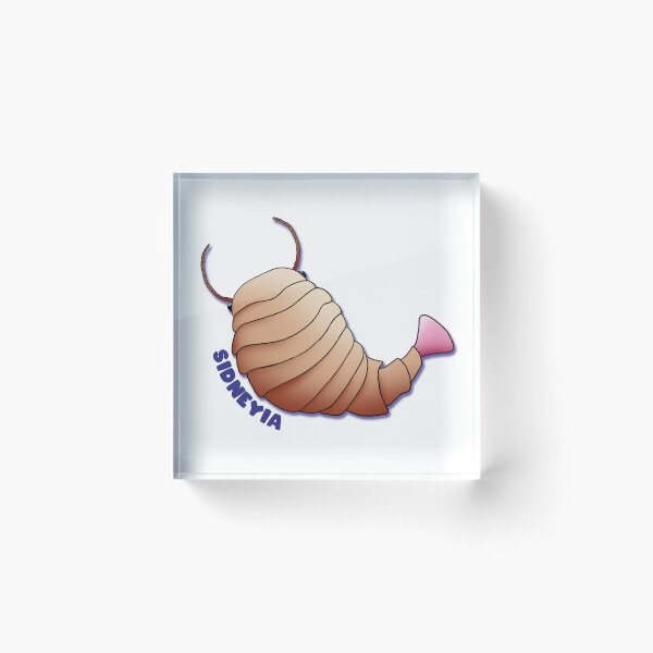Item preview, Sidneyia Cambrian Sea Creature designed and sold by KatyasYarnBois.