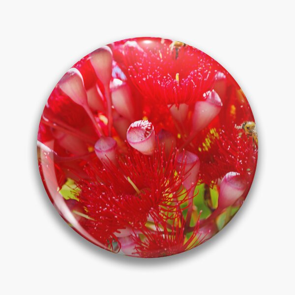 Item preview, Eucalyptus Red Flowers Like Fireworks designed and sold by Joy Watson - Natural Light Photography .