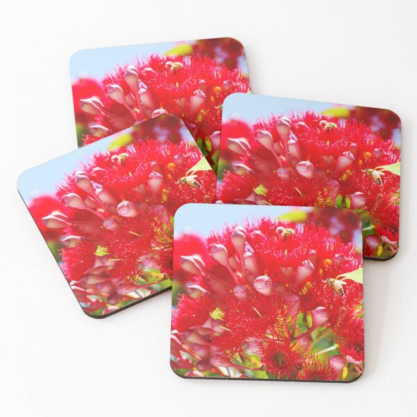 Item preview, Eucalyptus Red Flowers Like Fireworks designed and sold by Joy Watson - Natural Light Photography .