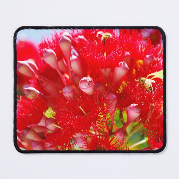 Item preview, Eucalyptus Red Flowers Like Fireworks designed and sold by Joy Watson - Natural Light Photography .
