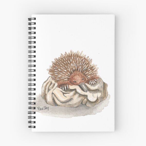 Artikelvorschau, Schlafende Echidna entworfen und verkauft von PeeJayArt.