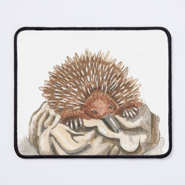 Item preview, Sleeping Echidna designed and sold by PeeJayArt.