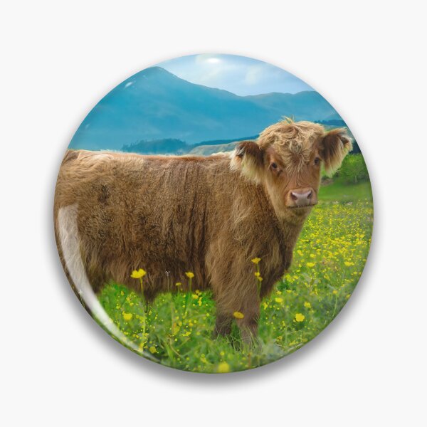 Aperçu de l'œuvre Veau de vache Highland créée et vendue par Alisonchambers2.