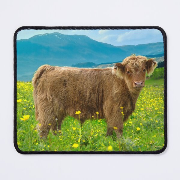 Item preview, Highland Cow Calf designed and sold by Alisonchambers2.