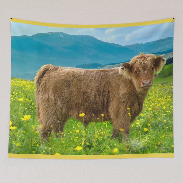 Item preview, Highland Cow Calf designed and sold by Alisonchambers2.