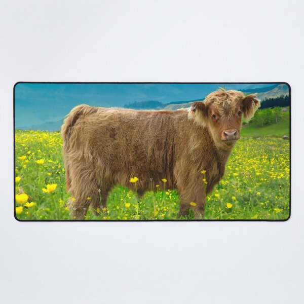 Item preview, Highland Cow Calf designed and sold by Alisonchambers2.