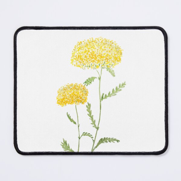 Item preview, 2 yellow yarrow watercolor hand painted designed and sold by SelenePaintings .