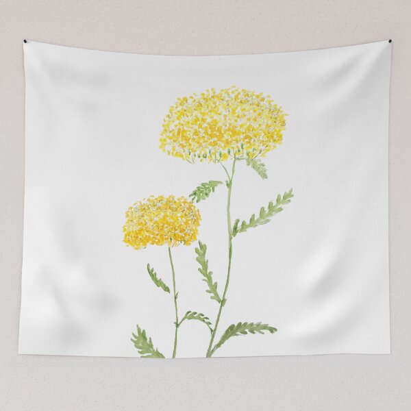 Item preview, 2 yellow yarrow watercolor hand painted designed and sold by ColorandColor.