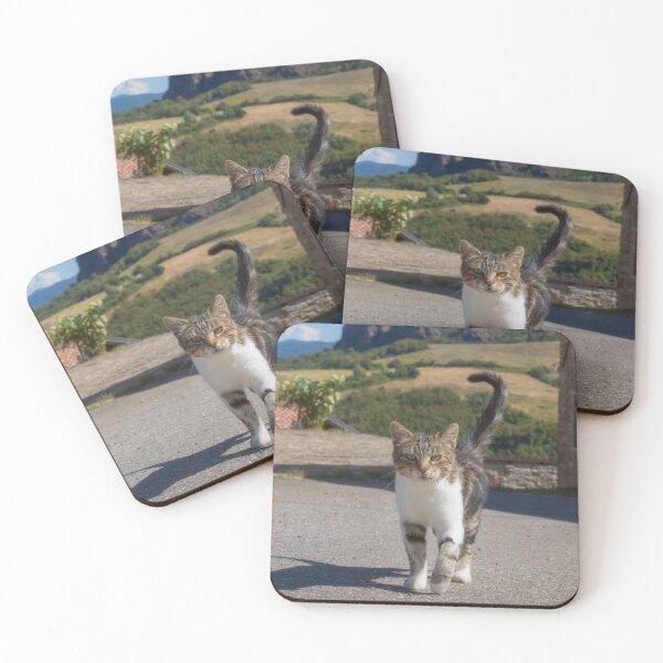 Item preview, Cute cat walking towards you designed and sold by FabioPhoto.