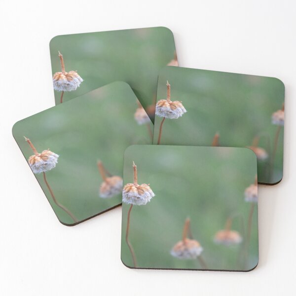 Item preview, Ahorro de mar designed and sold by Calidris Fotografie Steffi & Ben Köppler.