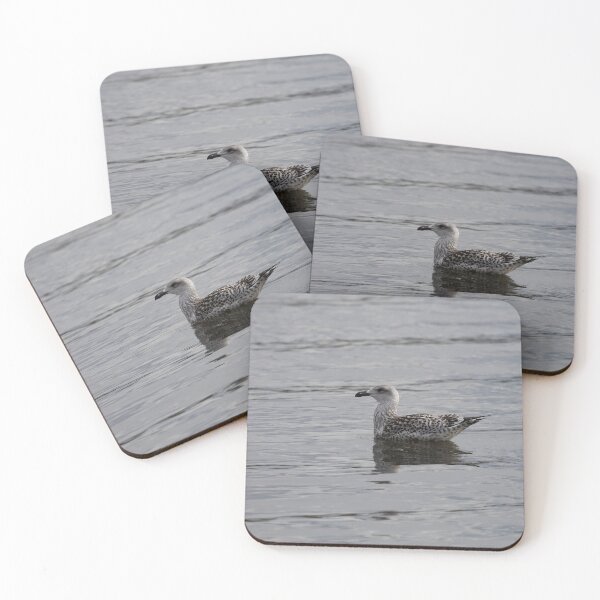 Item preview, European herring gull designed and sold by Calidris Fotografie Steffi & Ben Köppler.