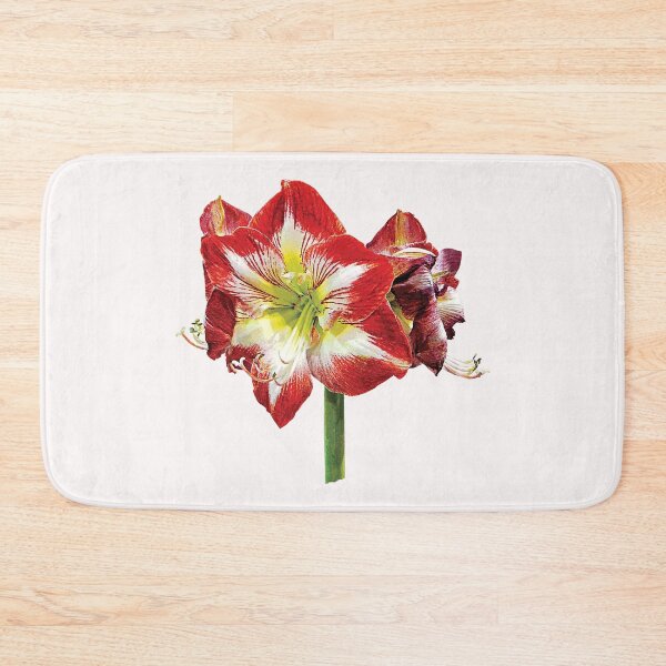 Item preview, Amaryllis Minerva designed and sold by Susan Savad.