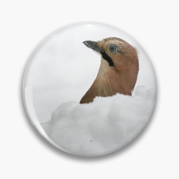 Item preview, Just a headshot. Eurasian jay designed and sold by Jouko Lehto Photography.