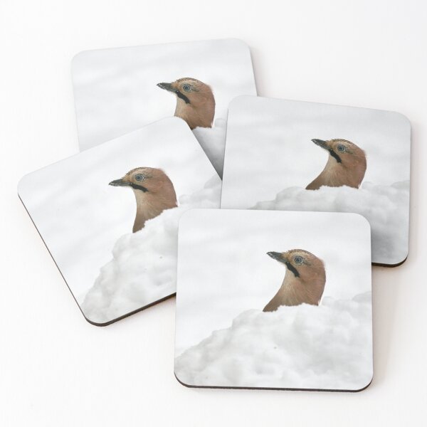 Item preview, Just a headshot. Eurasian jay designed and sold by Jouko Lehto Photography.