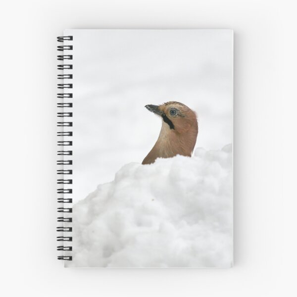 Item preview, Just a headshot. Eurasian jay designed and sold by Jouko Lehto Photography.
