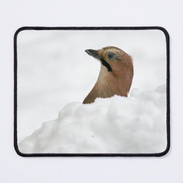 Item preview, Just a headshot. Eurasian jay designed and sold by Jouko Lehto Photography.