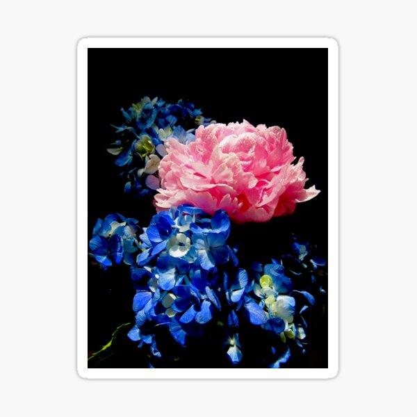 Peony Hydrangea Drama 5312 Sticker