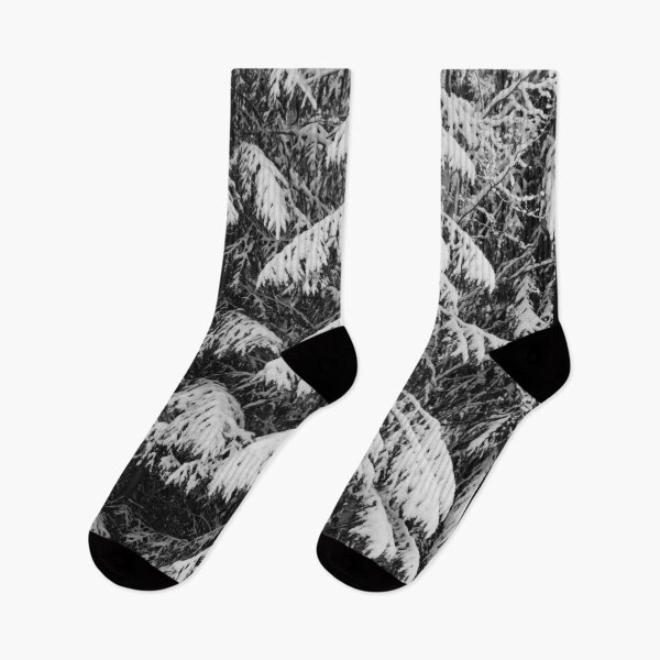 Item preview, Spruce covered. Parkkuu winter 2023  bw 1 designed and sold by Jouko Lehto Photography.