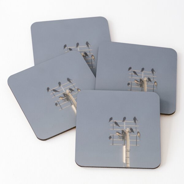 Item preview, Barn Swallow designed and sold by Calidris Fotografie Steffi & Ben Köppler.